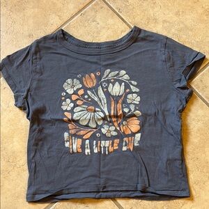 Hollister Blue and Orange Graphic Crop Short Sleeve Tee